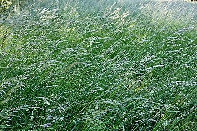 动视暴雪员工组建工会 《守望先锋》团队超200人联署